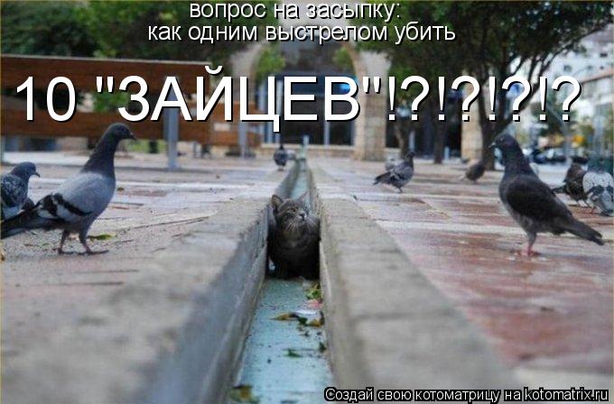 вопрос на засыпку: как одним выстрелом убить 10 "ЗАЙЦЕВ"!?!?!?!?... Котоматрица: вопрос на засыпку: как одним выстрелом убить 10 "ЗАЙЦЕВ"!?!?!?!?
