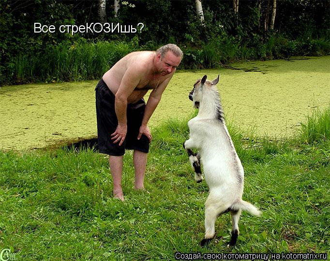Все стреКОЗИшь?... Котоматрица: Все стреКОЗИшь?
