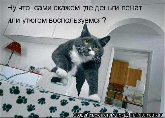 Ну что, сами скажем где деньги лежат или утюгом воспользуемся?... Котоматрица: Ну что, сами скажем где деньги лежат или утюгом воспользуемся?