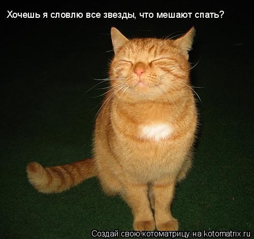 Хочешь я словлю все звезды, что мешают спать?... Котоматрица: Хочешь я словлю все звезды, что мешают спать?