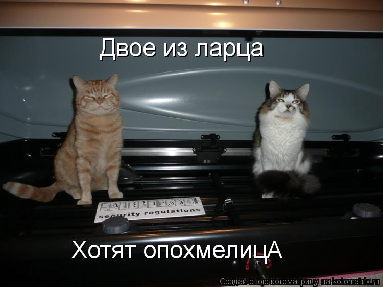 Двое из ларца Хотят опохмелицА... Котоматрица: Двое из ларца Хотят опохмелицА