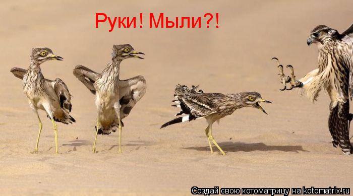 Руки! Мыли?!... Котоматрица: Руки! Мыли?!