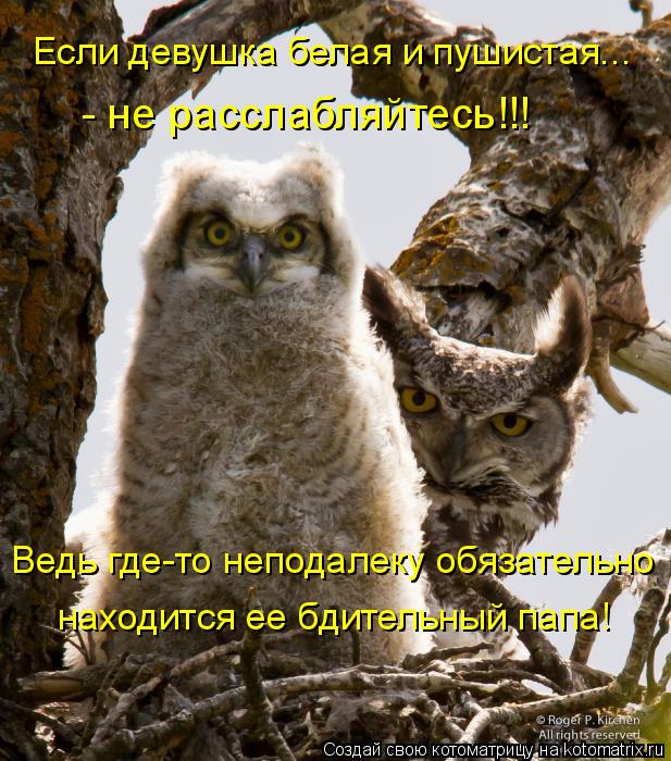 Если девушка белая и пушистая... - не расслабляйтесь!!! Ведь где-то неподалеку обязательно находится... Котоматрица: Если девушка белая и пушистая... - не расслабляйтесь!!! Ведь где-то неподалеку обязательно находится ее бдительный папа!