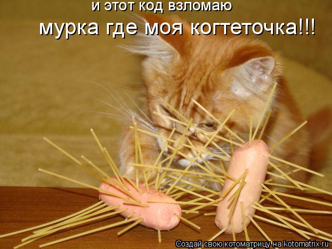 не хозяин ен и этот код взломаю мурка где моя когтеточка!!!... Котоматрица: не хозяин ен и этот код взломаю мурка где моя когтеточка!!!
