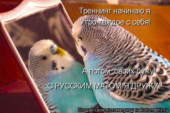 Котоматрица: Треннинг начинаю я... Утро каждое с себя! А потом  своих бужу! С РУССКИМ МАТОМ Я ДРУЖУ!