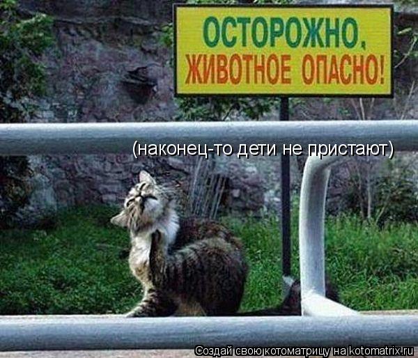 Котоматрица: (наконец-то дети не пристают)