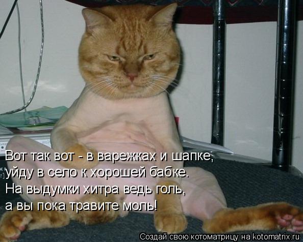 Вот так вот - в варежках и шапке, уйду в село к хорошей бабке. На выдумки хитра ведь голь, а вы по... Котоматрица: Вот так вот - в варежках и шапке, уйду в село к хорошей бабке. На выдумки хитра ведь голь, а вы пока травите моль!