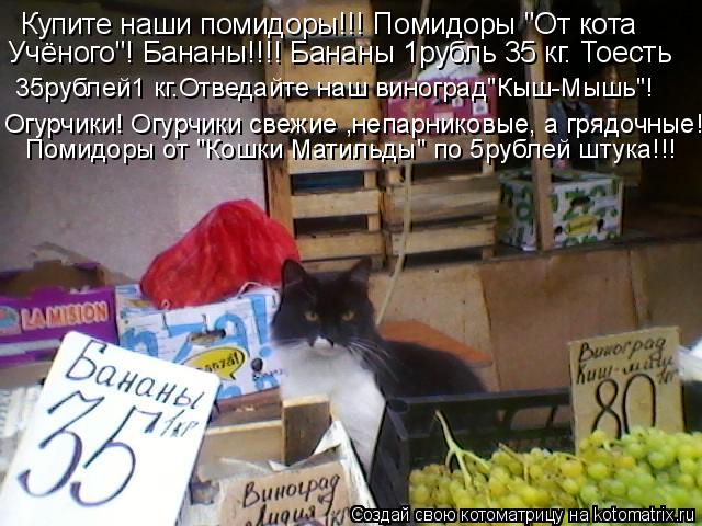 Котоматрица: Купите наши помидоры!!! Помидоры "От кота Учёного"! Бананы!!!! Бананы 1рубль 35 кг. Тоесть 35рублей1 кг.Отведайте наш виноград"Кыш-Мышь"! Огурчики! 