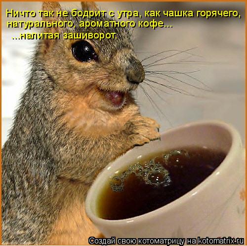 Котоматрица: Ничто так не бодрит с утра, как чашка горячего, натурального, ароматного кофе... ...налитая зашиворот.