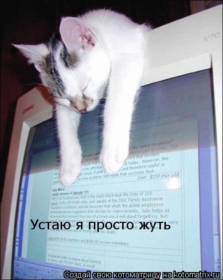 Котоматрица: Устаю я просто жуть