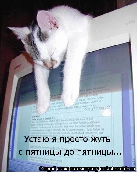 Котоматрица: Устаю я просто жуть с пятницы до пятницы...