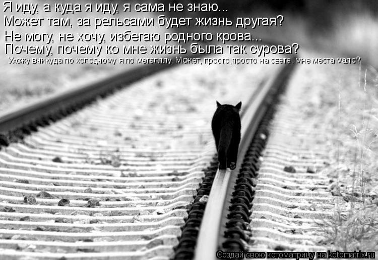 Котоматрица: Я иду, а куда я иду, я сама не знаю... Может там, за рельсами будет жизнь другая? Не могу, не хочу, избегаю родного крова... Почему, почему ко мне ж