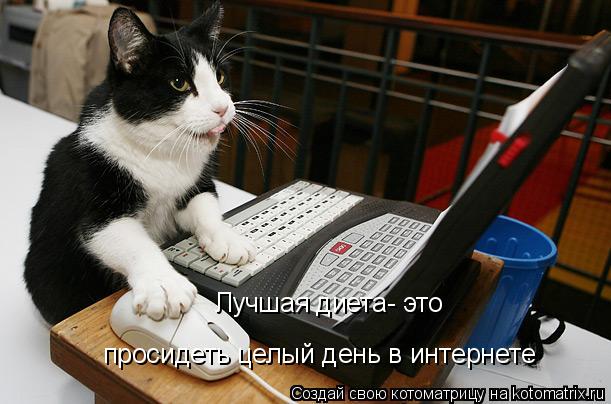 Котоматрица: Лучшая диета- это  просидеть целый день в интернете