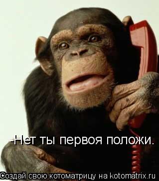 Котоматрица: -Нет ты первоя положи.