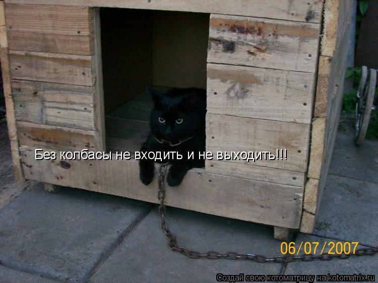 Котоматрица: Без колбасы не входить и не выходить!!!