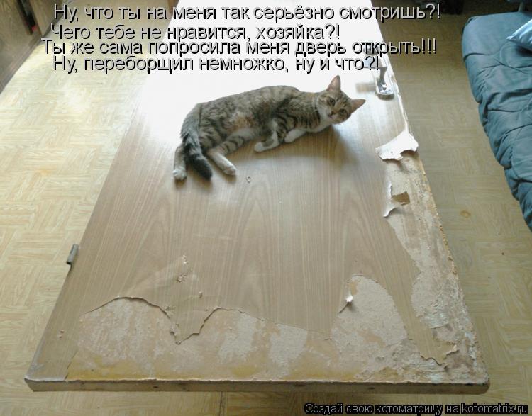 Котоматрица: Ну, что ты на меня так серьёзно смотришь?! Чего тебе не нравится, хозяйка?! Ты же сама попросила меня дверь открыть!!! Ну, переборщил немножко, 
