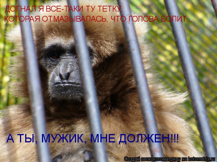 Котоматрица: ДОГНАЛ Я ВСЕ-ТАКИ ТУ ТЕТКУ, КОТОРАЯ ОТМАЗЫВАЛАСЬ, ЧТО ГОЛОВА БОЛИТ... А ТЫ, МУЖИК, МНЕ ДОЛЖЕН!!!