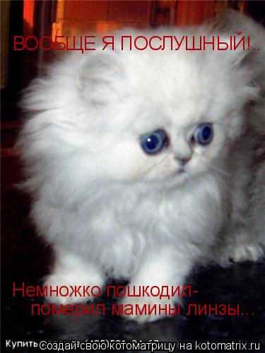 Котоматрица: Немножко пошкодил- померил мамины линзы... ВООБЩЕ Я ПОСЛУШНЫЙ!..