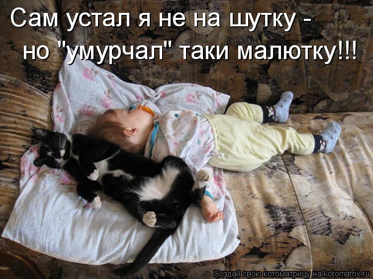 Сам устал я не на шутку - но "умурчал" таки малютку!!!... Котоматрица: Сам устал я не на шутку - но "умурчал" таки малютку!!!