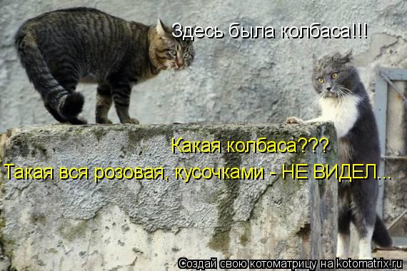 Котоматрица: Здесь была колбаса!!! Какая колбаса??? Такая вся розовая, кусочками - НЕ ВИДЕЛ...