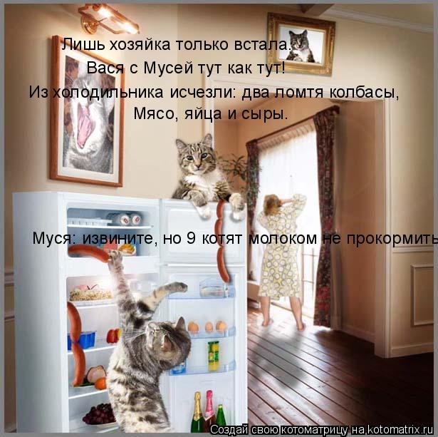 Лишь хозяйка только встала. Вася с Мусей тут как тут! Мясо, яйца и сыры. Из холодильника исчезли: два... Котоматрица: Лишь хозяйка только встала. Вася с Мусей тут как тут! Мясо, яйца и сыры. Из холодильника исчезли: два ломтя колбасы, Муся: извините, но 9 котят