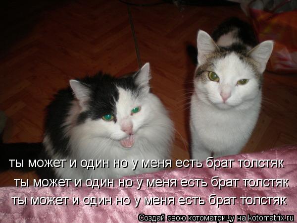ты может и один но у меня есть брат толстяк ты может и один но у меня есть брат толстяк ты может и од... Котоматрица: ты может и один но у меня есть брат толстяк ты может и один но у меня есть брат толстяк ты может и один но у меня есть брат толстяк