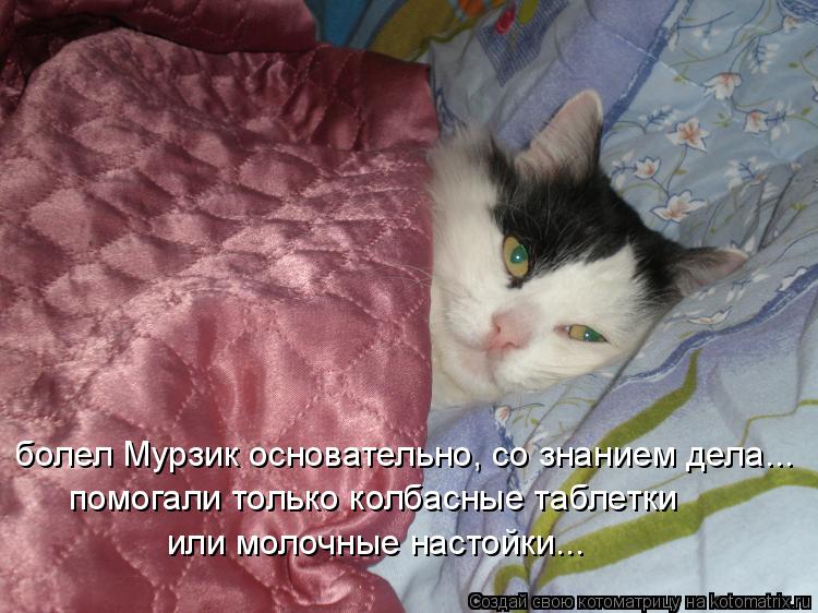 болел Мурзик основательно, со знанием дела... помогали только колбасные таблетки или молочные настойк... Котоматрица: болел Мурзик основательно, со знанием дела... помогали только колбасные таблетки или молочные настойки...