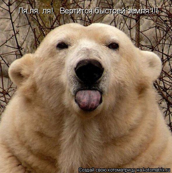 Ля,ля, ля! Вертится быстрей земля !!!... Котоматрица: Ля,ля, ля! Вертится быстрей земля !!!