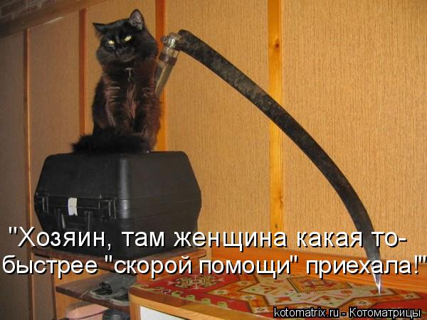 "Хозяин, там женщина какая то- быстрее "скорой помощи" приехала!"... Котоматрица: "Хозяин, там женщина какая то- быстрее "скорой помощи" приехала!"