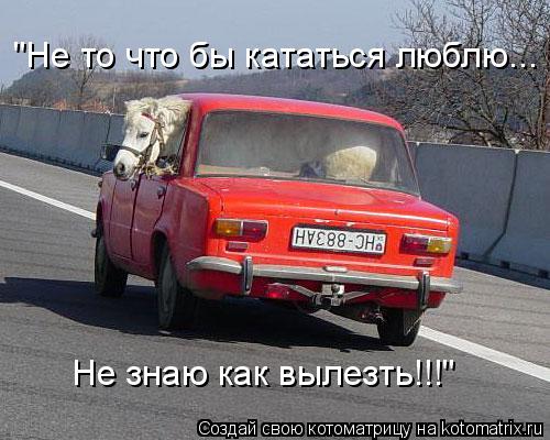 "Не то что бы кататься люблю... Не знаю как вылезть!!!"... Котоматрица: "Не то что бы кататься люблю... Не знаю как вылезть!!!"