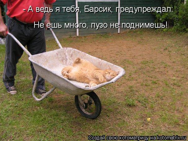 - А ведь я тебя, Барсик, предупреждал: Не ешь много, пузо не поднимешь!... Котоматрица: - А ведь я тебя, Барсик, предупреждал: Не ешь много, пузо не поднимешь!