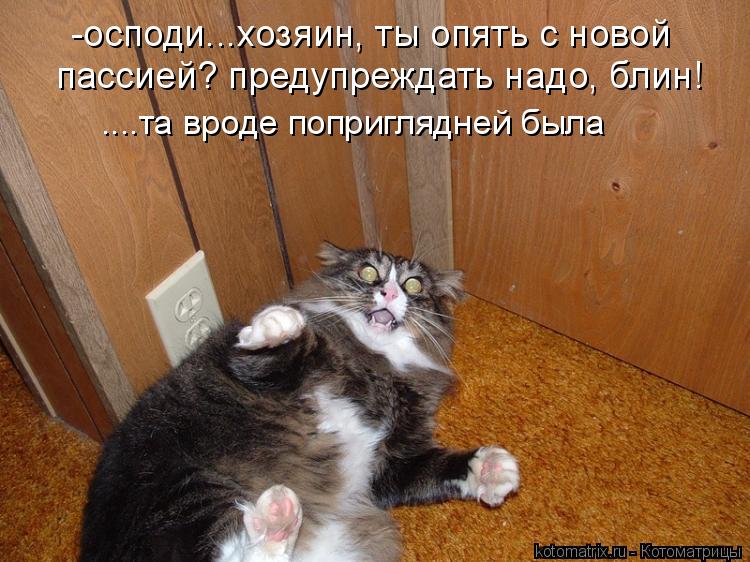 -осподи...хозяин, ты опять с новой пассией? предупреждать надо, блин! ....та вроде поприглядней была... Котоматрица: -осподи...хозяин, ты опять с новой пассией? предупреждать надо, блин! ....та вроде поприглядней была
