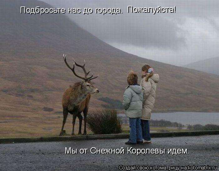 Подбросьте нас до города. Мы от Снежной Королевы идем. Пожалуйста!... Котоматрица: Подбросьте нас до города. Мы от Снежной Королевы идем. Пожалуйста!
