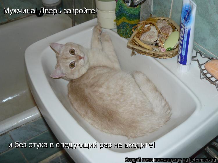 Мужчина! Дверь закройте! и без стука в следующий раз не входите!... Котоматрица: Мужчина! Дверь закройте! и без стука в следующий раз не входите!