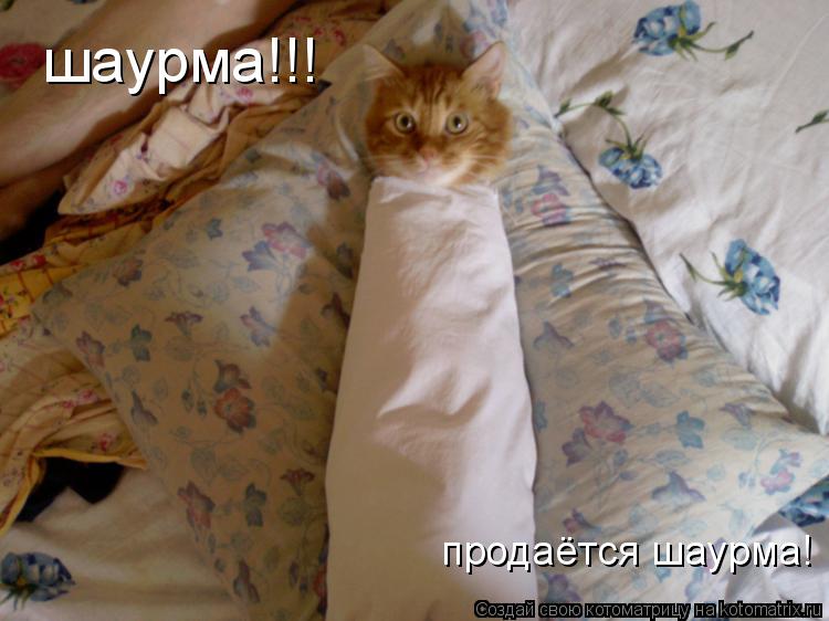 шаурма!!! продаётся шаурма!... Котоматрица: шаурма!!! продаётся шаурма!