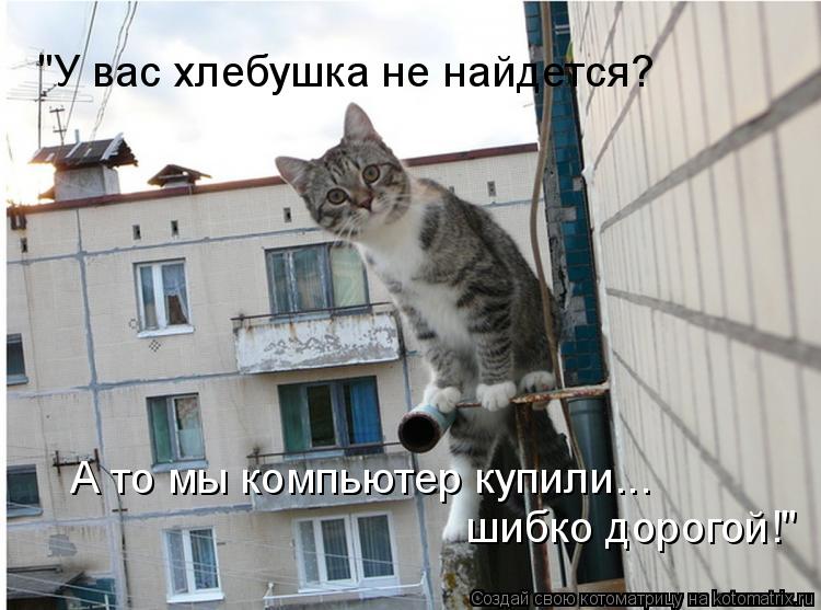 Котоматрица: "У вас хлебушка не найдется? А то мы компьютер купили... шибко дорогой!"