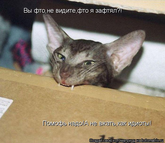 Котоматрица: Вы фто,не видите,фто я зафтял?! Помофь надо!А не вжать,как идиоты!