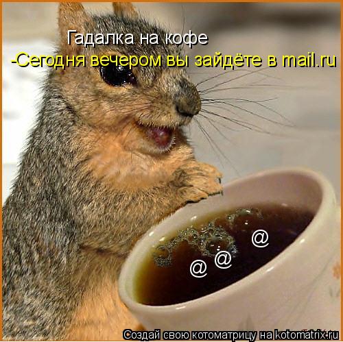 Котоматрица: Гадалка на кофе @ @ @ -Сегодня вечером вы зайдёте в mail.ru