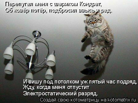 Котоматрица: Перепутал меня с шариком Кондрат, Об ковёр потёр, подбросил ввысь и рад. И вишу под потолком уж пятый час подряд, Жду, когда меня отпустит Эле