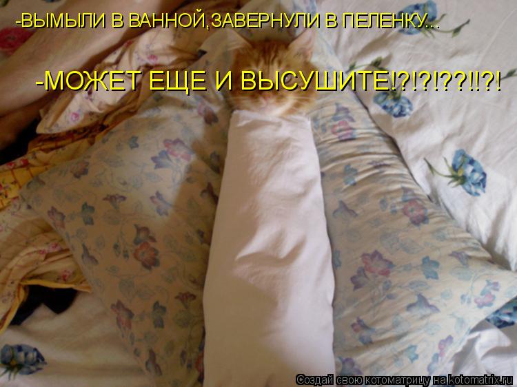 Котоматрица: -ВЫМЫЛИ В ВАННОЙ,ЗАВЕРНУЛИ В ПЕЛЕНКУ...  -МОЖЕТ ЕЩЕ И ВЫСУШИТЕ!?!?!??!!?!
