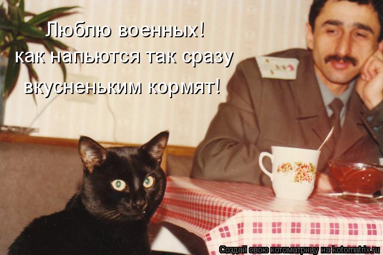 Котоматрица: Люблю военных! как напьются так сразу вкусненьким кормят!