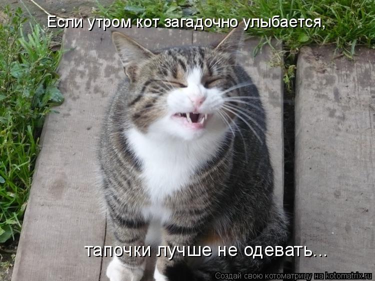 Котоматрица: Если утром кот загадочно улыбается, тапочки лучше не одевать...