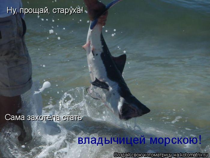 Котоматрица: Ну, прощай, старуха! Сама захотела стать владычицей морскою!