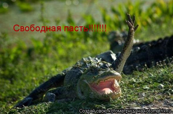 Котоматрица: Свободная пасть!!!!!!!