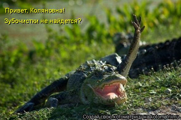Котоматрица: Привет, Коляновна! Зубочистки не найдется?