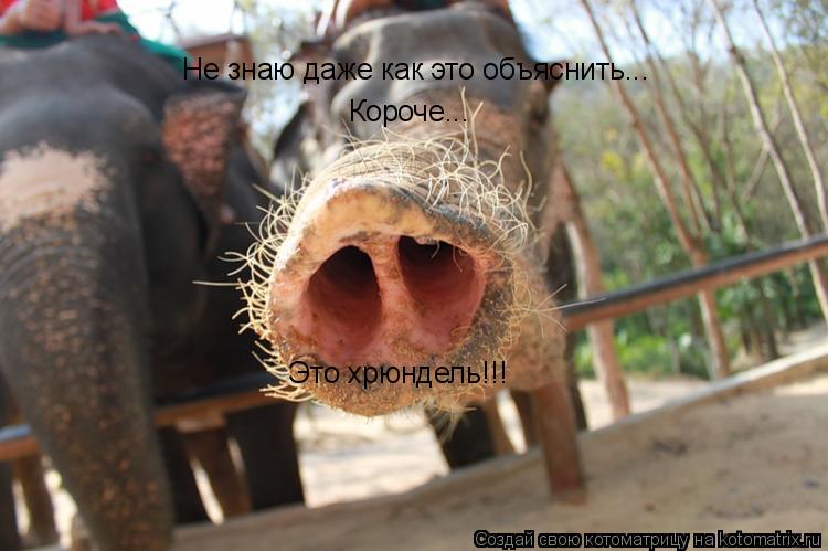 Котоматрица: Не знаю даже как это объяснить... Короче... Это хрюндель!!!