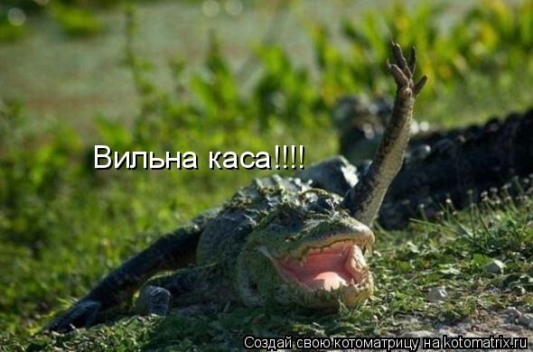 Котоматрица: Вильна каса!!!!