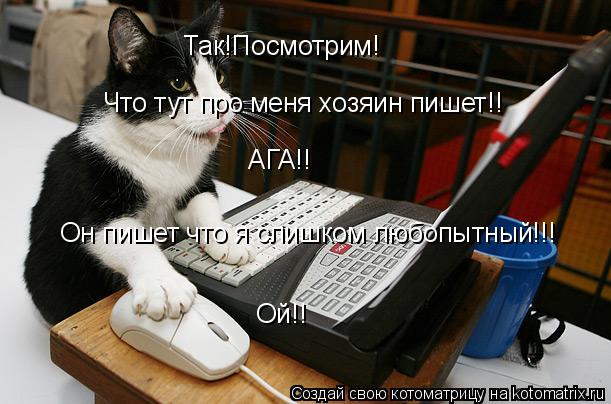 Котоматрица: Так!Посмотрим! Что тут про меня хозяин пишет!! АГА!! Он пишет что я слишком любопытный!!! Ой!!