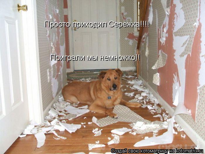 Котоматрица: Просто приходил Сережка!!!! Поиграли мы немножко!!