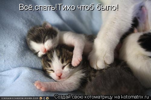 Всё,спать!Тихо чтоб было!... Котоматрица: Всё,спать!Тихо чтоб было!
